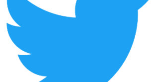 1 twitter bird logo 2012jpg Twitter considering paid option
