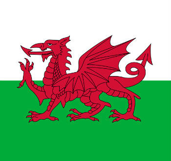 1 wales flagjpg Cardiff's first technology unicorn is just a matter of time