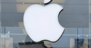 3 apple logo store web shutterstockjpg Apple names new executive lineup, including Jeff Williams as COO