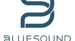 Bluesound small Bluesound Professional’s two new European distribution partners