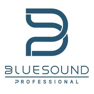 Bluesound small Bluesound Professional’s two new European distribution partners