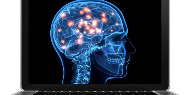 GEKKO Gekko launches neuroscience insights partnership with CloudArmy