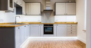 Gekko oct Smart at the home heart