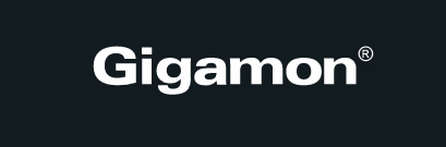 Gigamon Gigamon promotes Kristi Thiele to vice president of worldwide sales engineering
