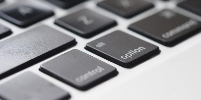 PCR Sept P6 7 A new lease of life