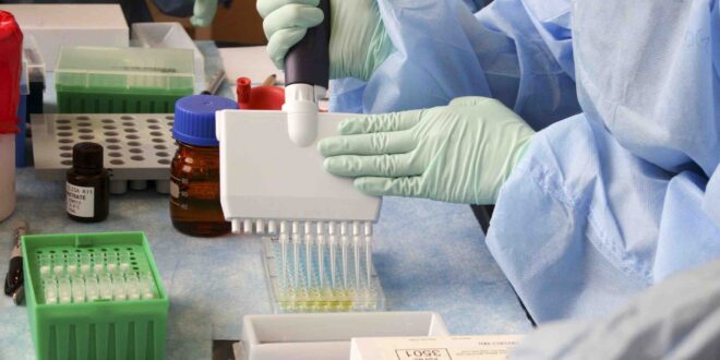 covid 19 coronavirus covid cell pandemic corona virus 1608807 pxhere.com copy 2 scaled 1 Retail analysis: Post Covid: Why Winning Brands Will Focus on Trust