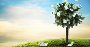 money tree mainjpg Why supplemental services can mean big business