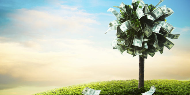 money tree mainjpg Why supplemental services can mean big business